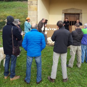C´s Siero reclama medidas de saneamiento para los vecinos de Ordiales