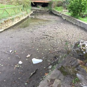 Ciudadanos denuncia la falta de limpieza del canal del Parque de Isabel La Católica