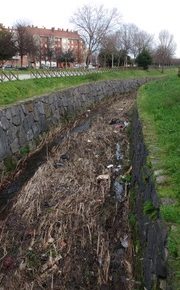 Ciudadanos pide asegurar un adecuado mantenimiento del cauce del Río Pilón a su paso por el parque de Moreda