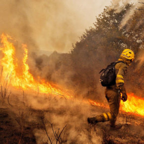 Ciudadanos defenderá una moción para instar al Ayuntamiento de Siero a elaborar un Plan de actuación local de emergencias ante incendios forestales 