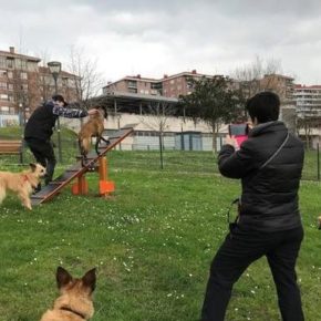 Ciudadanos insta al equipo de gobierno a que se habiliten espacios para el esparcimiento de las mascotas en el Parque Periurbano de Pola de Siero