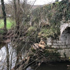 Ciudadanos Siero alerta del déficit de limpieza y mantenimiento de los cauces y aguas de la red fluvial que discurren por el territorio municipal