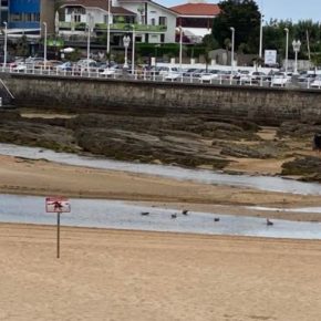 Ciudadanos solicita mejoras en la señalización de la prohibición de baño en el Piles