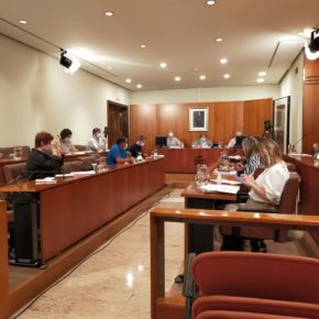 Medidas para asistir a las familias que deban hacer cuarentena por un positivo en el aula de sus hijos y la definición de la política cultural, demandas de Ciudadanos Avilés en el pleno municipal